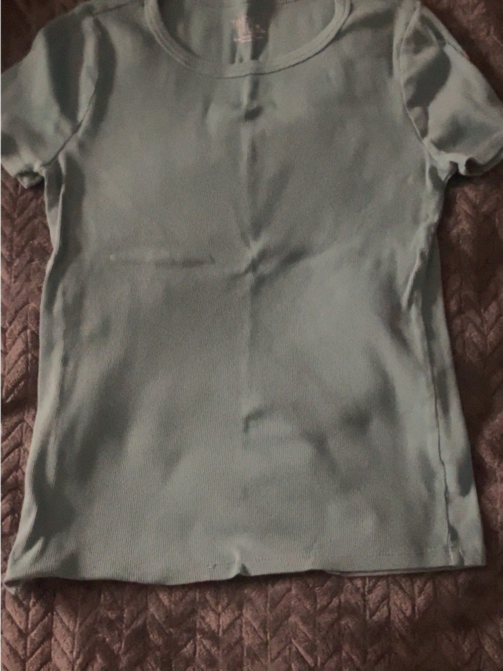 Time and Tru Short Sleeve Ribbed Tee in Sage